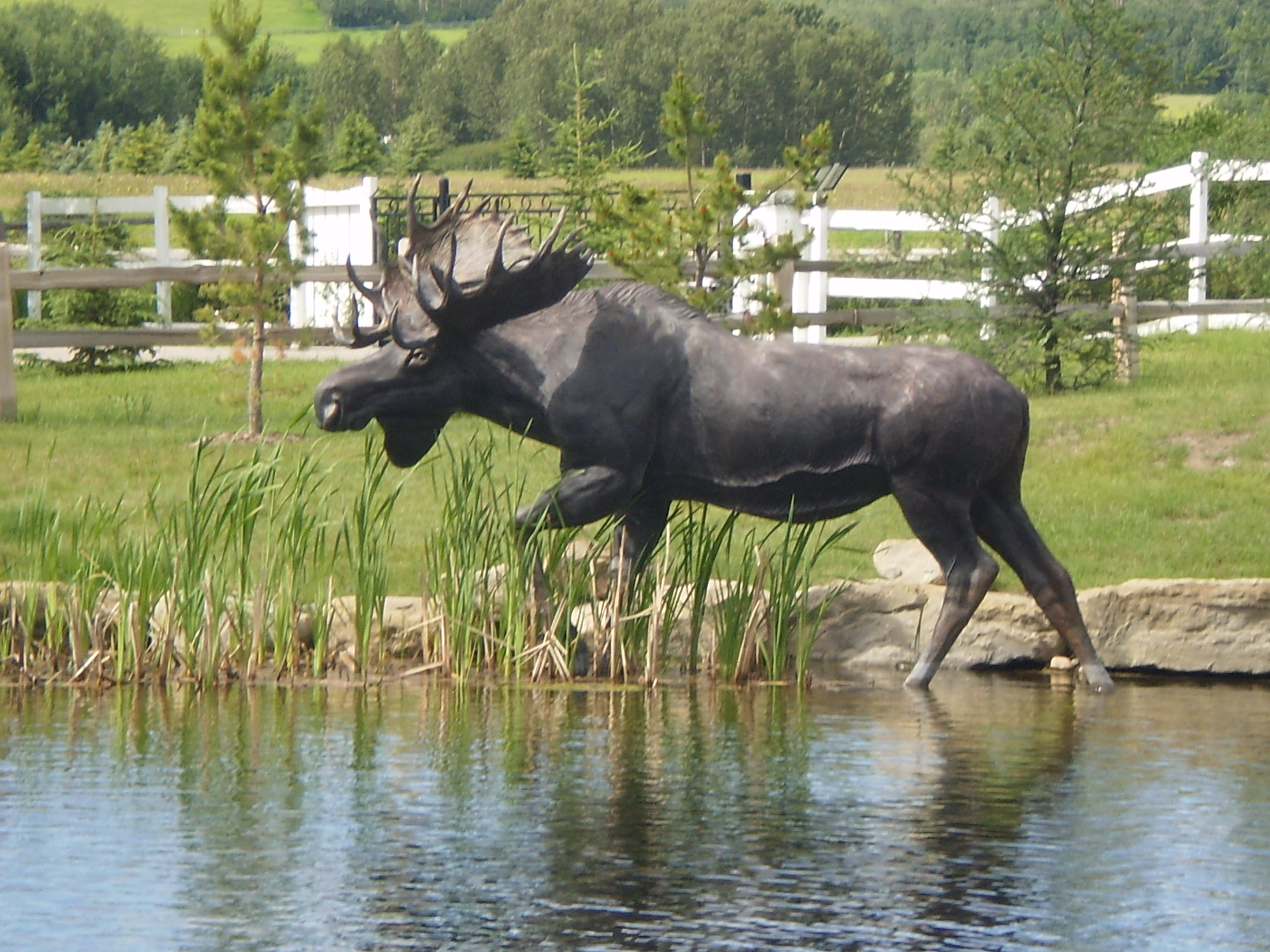 Monarch of the Stikine $145,000 13'6" x 9'6" x 6' | Edition 10