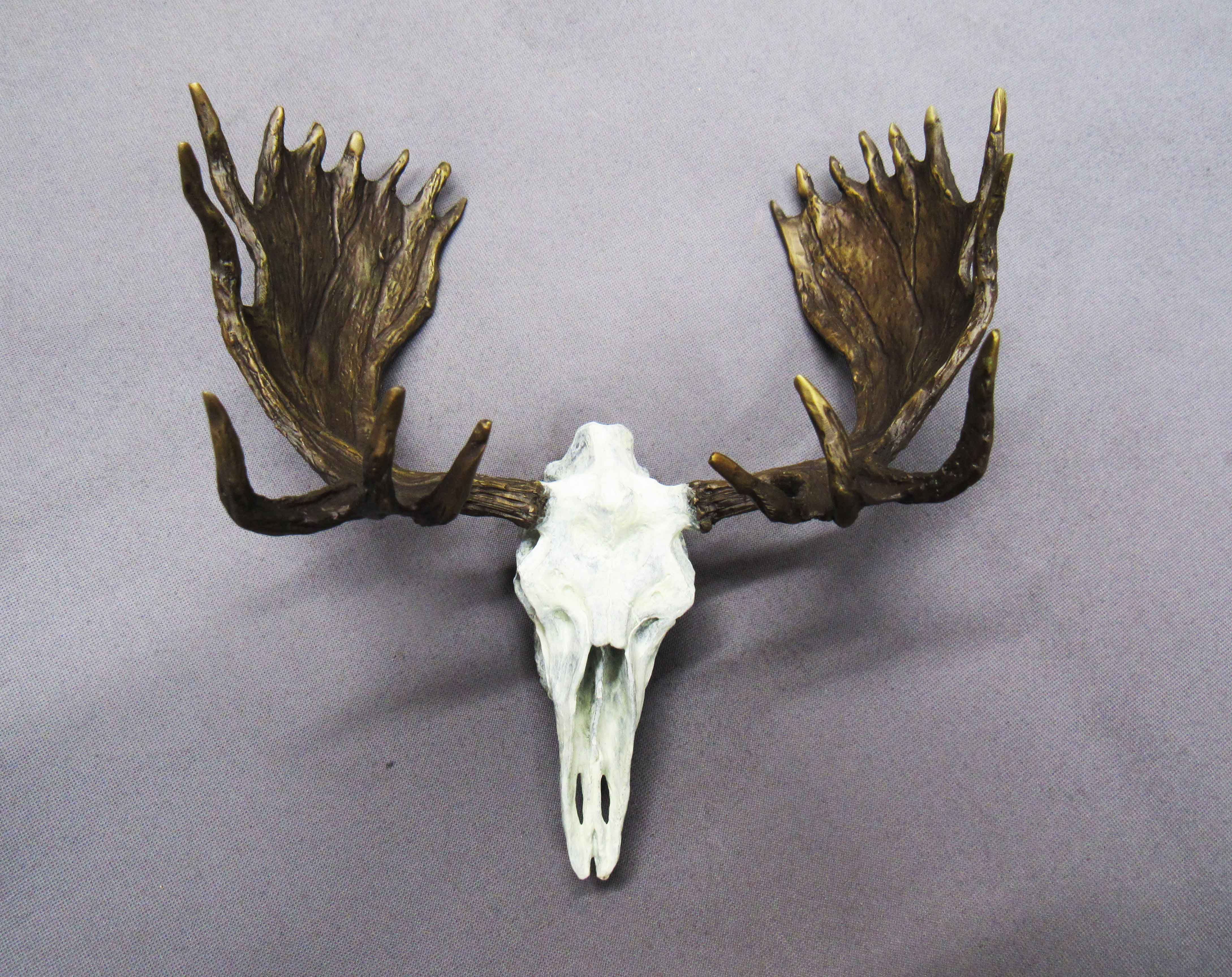 Moose Skull - $550