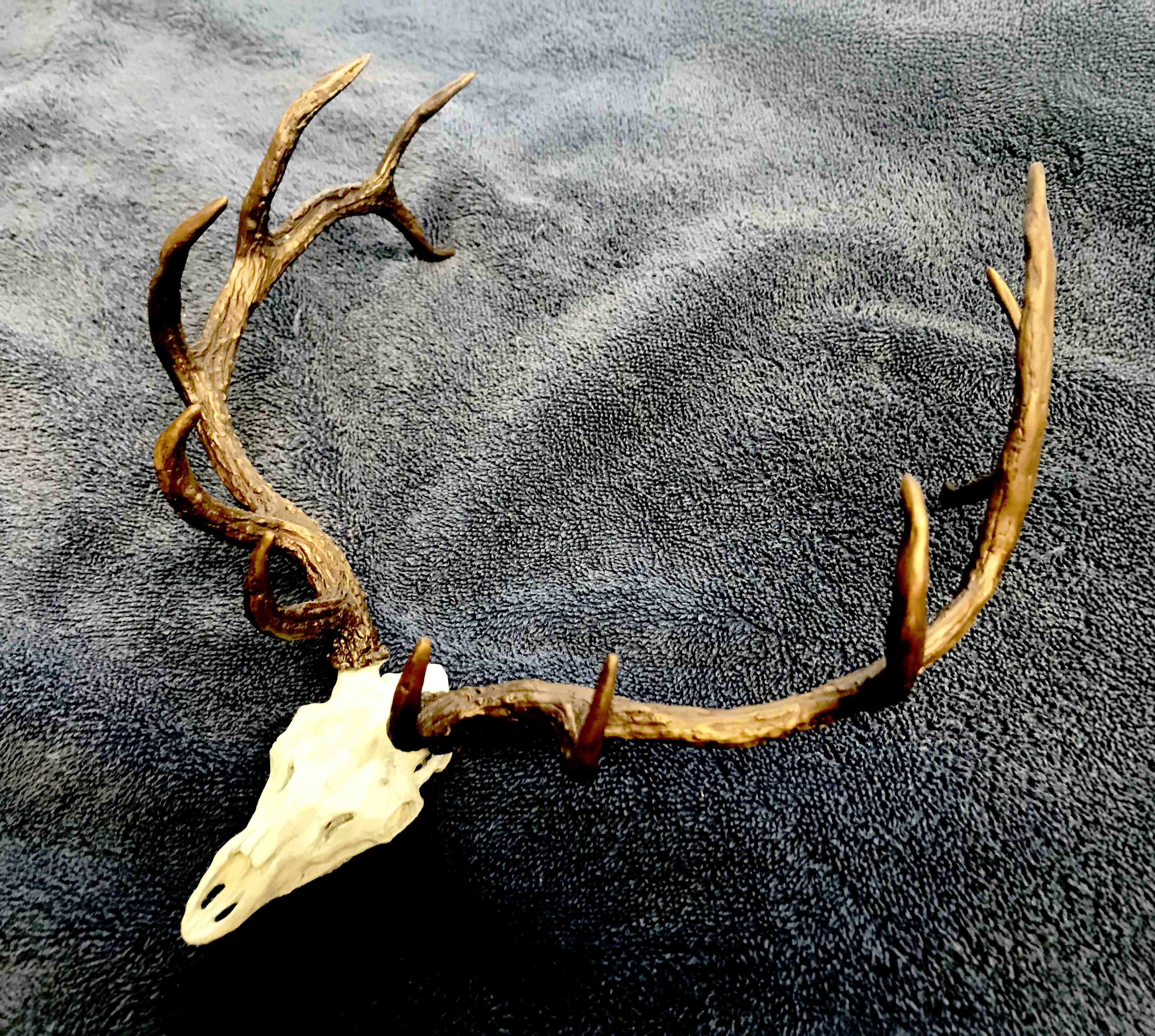 Large Elk Skull - $975